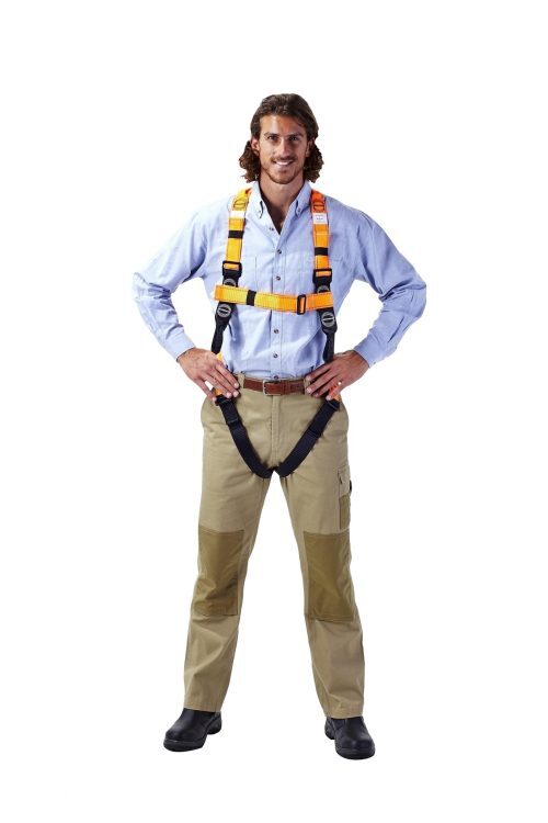 safety harness