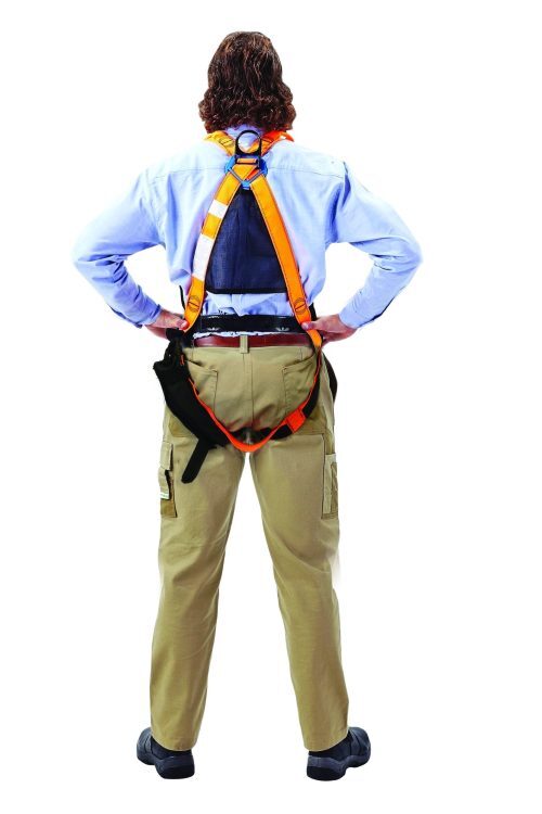 safety harness