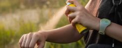 Insect Repellent
