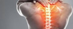 Muscular / Joints / Pains