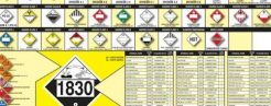 Charts, Posters, Leaflets